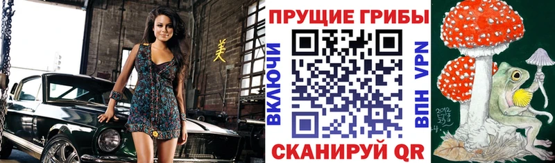 магазин  наркотиков  Котлас  Псилоцибиновые грибы MAGIC MUSHROOMS 
